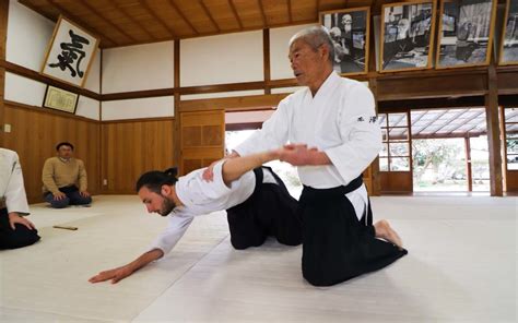 aikido master